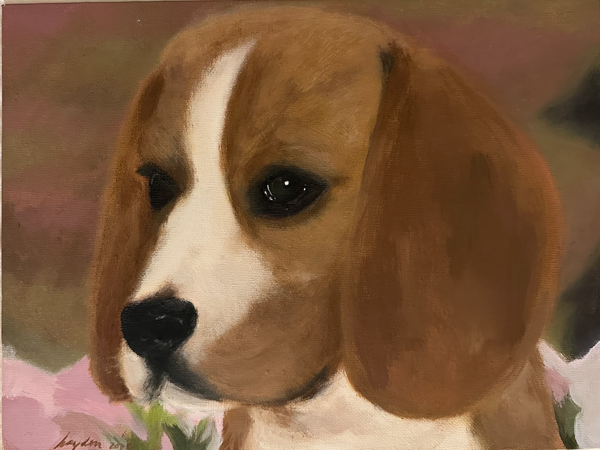 beagle