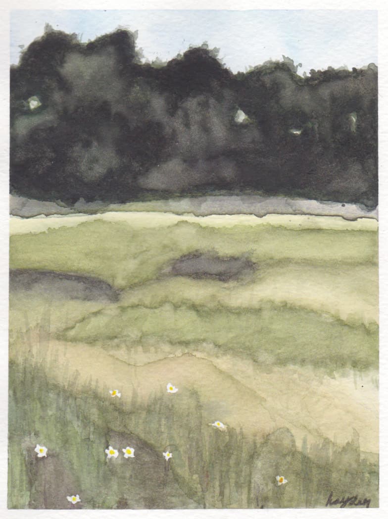 forest