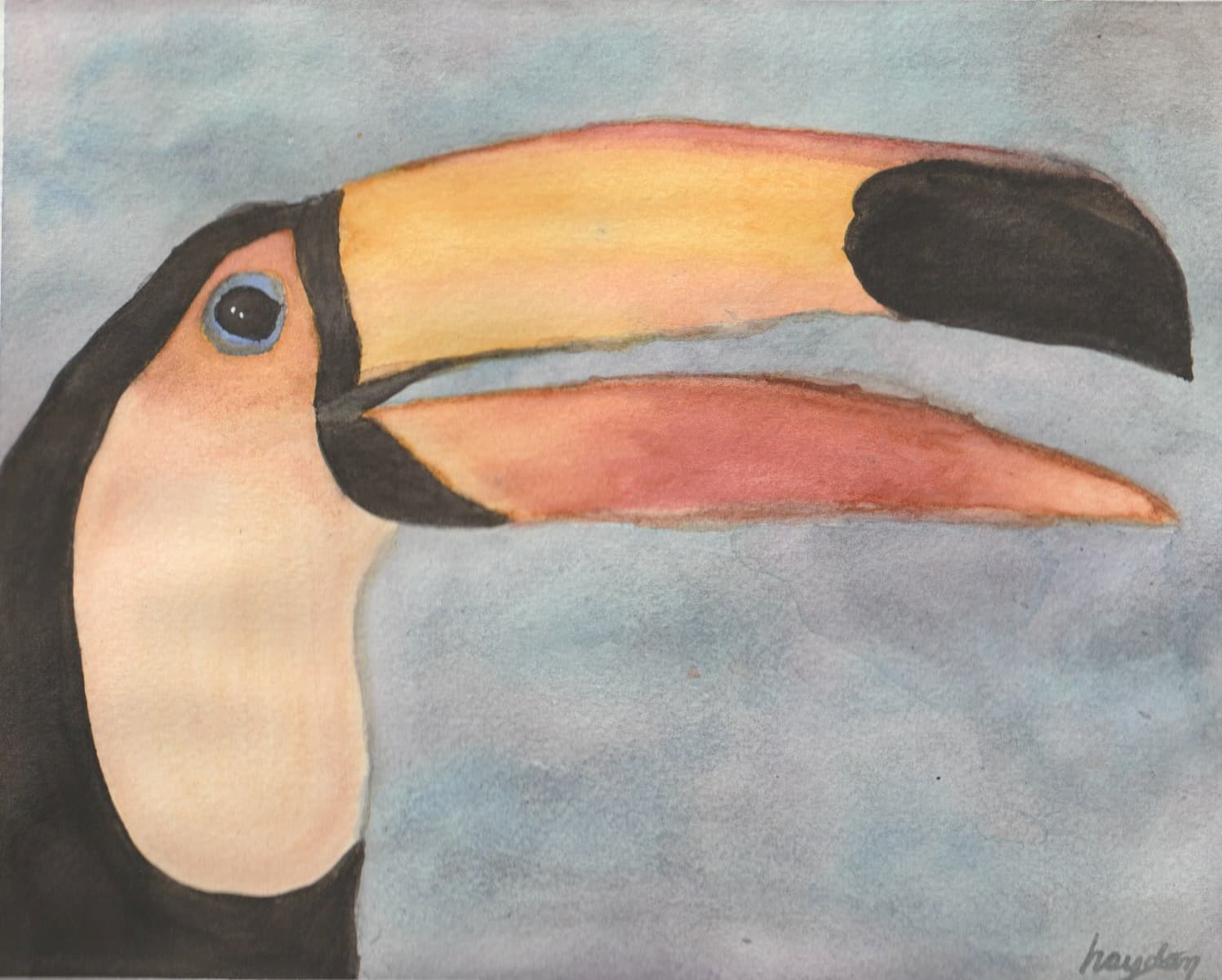 toucan
